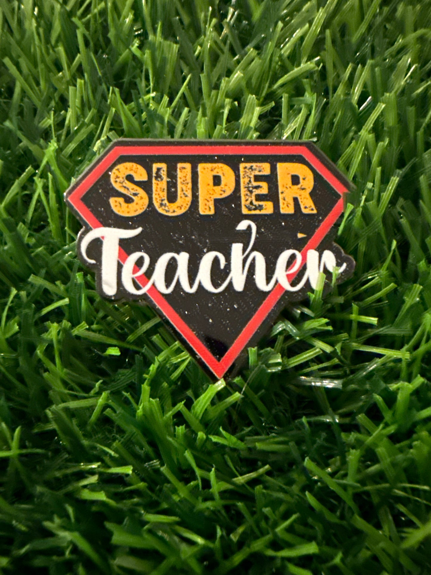 Teacher