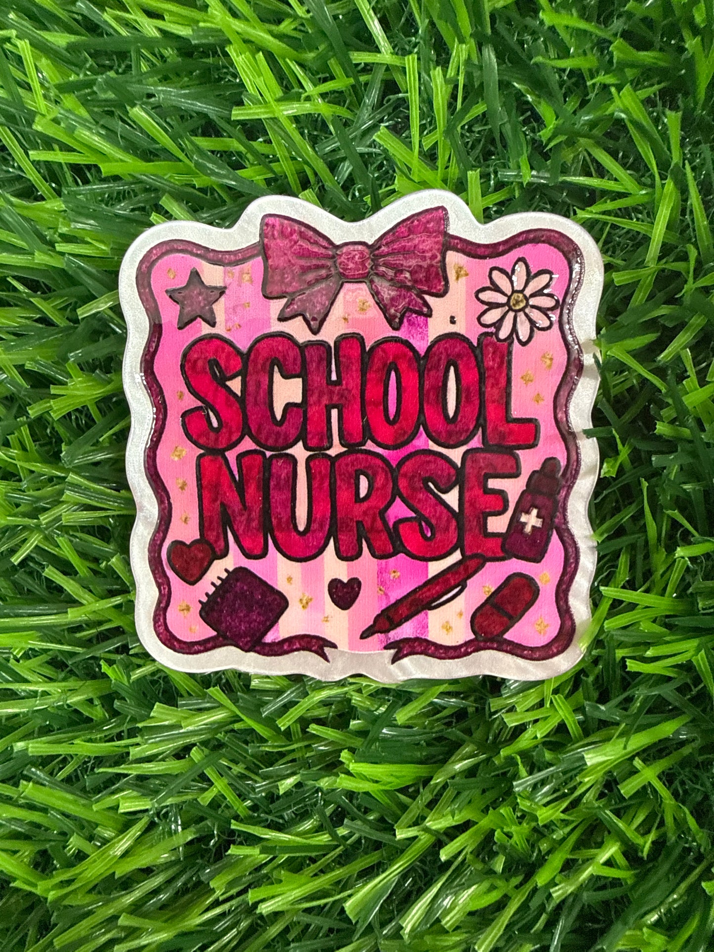 School Nurse/Health Aide