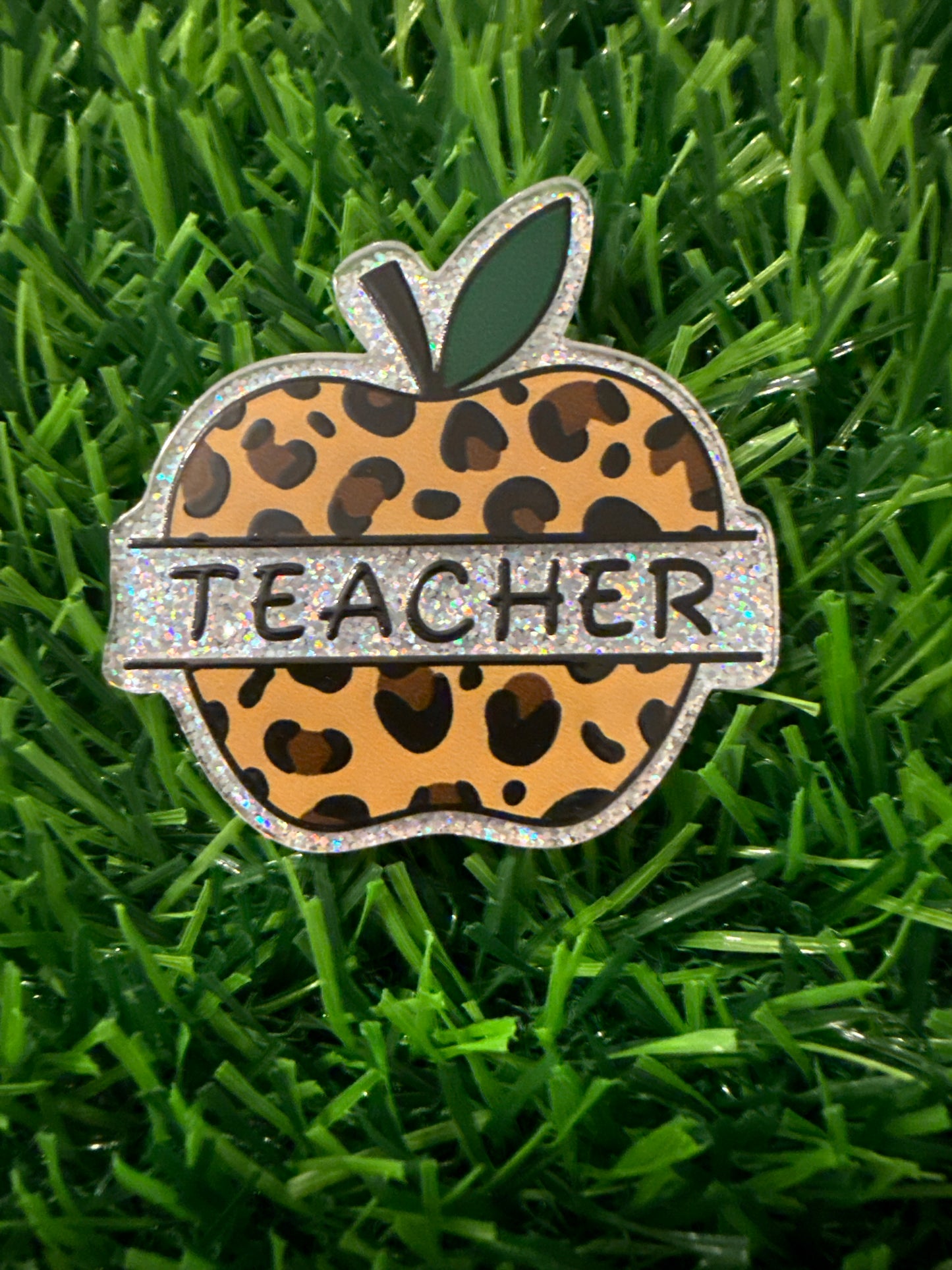 Teacher