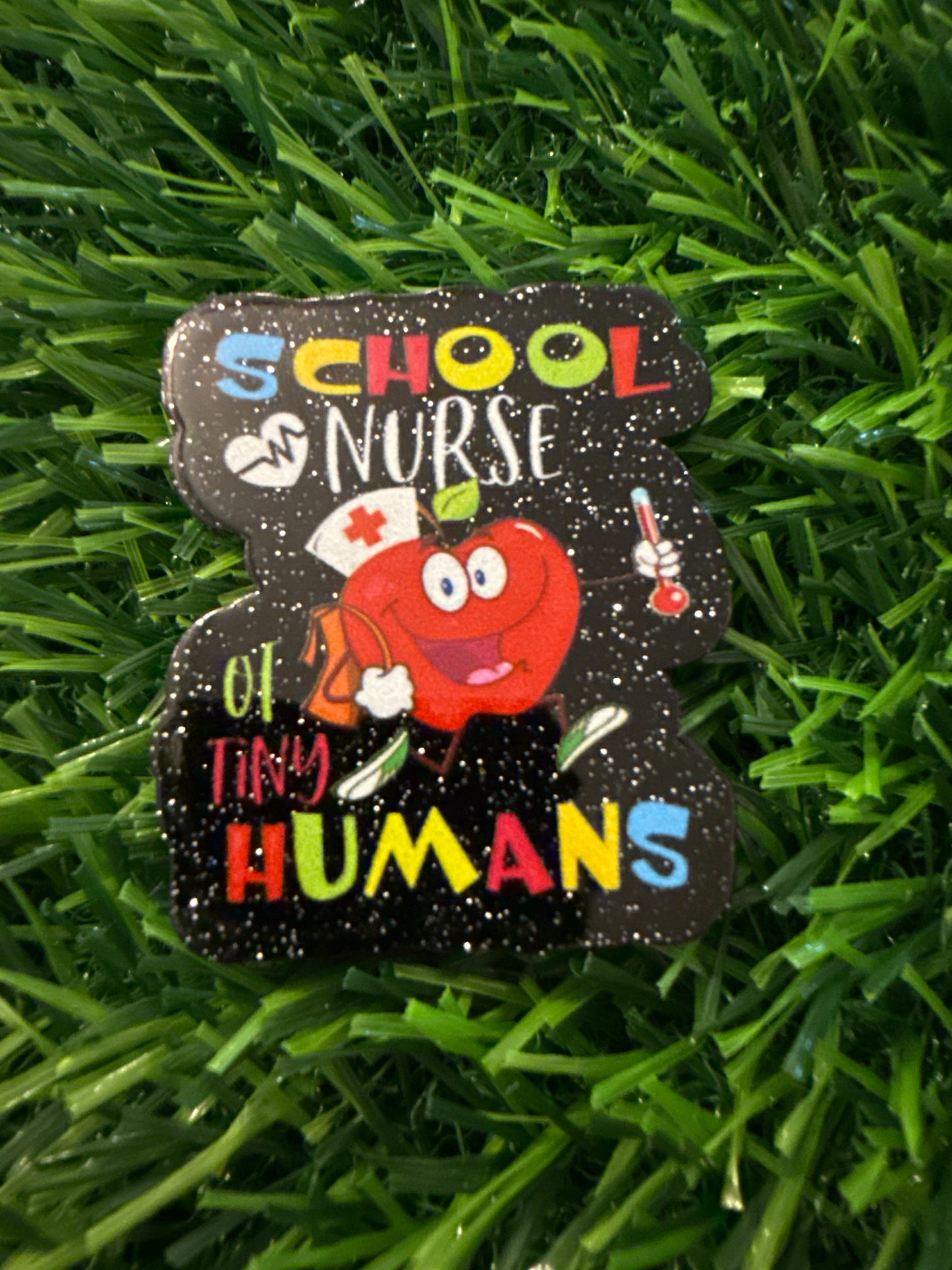 School Nurse/Health Aide