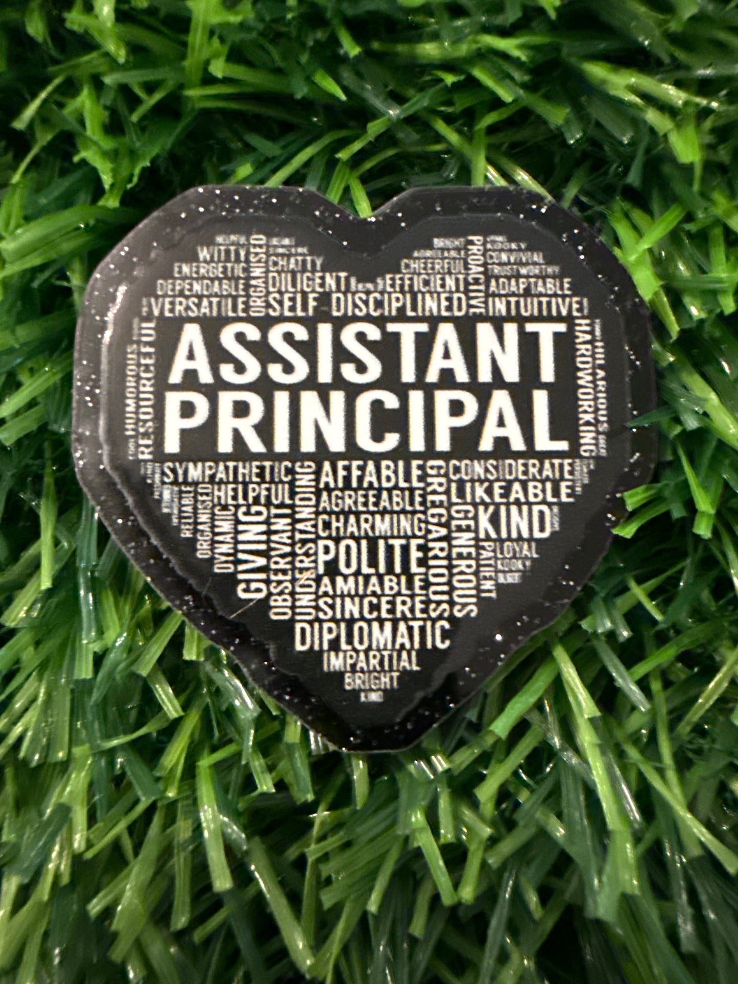 Assistant Principal/Principal